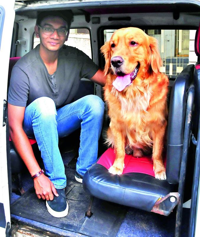 Sean, from a pet taxi service in the city with a customer, Dodo.