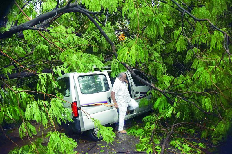 A man gets out of his car after a tree fell on it near SD road in Secunderabad. ( Pictures by Gandhi, Pavan, Deepak Deshpande, P. Surendra )