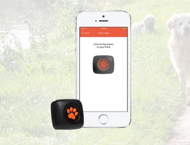 PitPat dog activity tracker