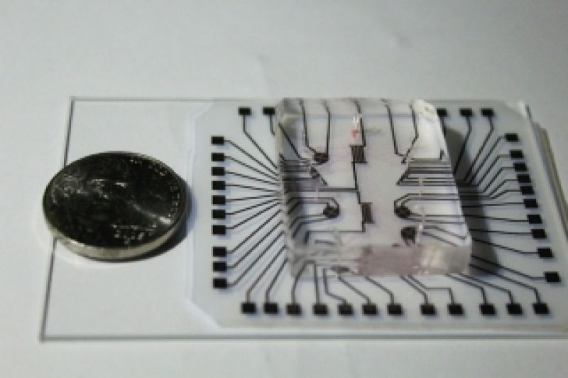 The lab on a chip comprises a clear silicone microfluidic chamber for housing cells and a reusable electronic strip  a flexible sheet of polyester with commercially available conductive nanoparticle ink.