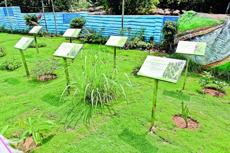 Hyderabad's first rainwater harvesting park