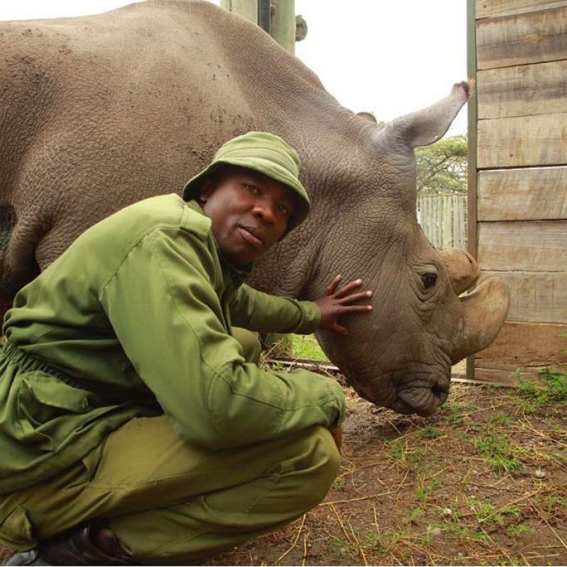 In Photos: The last male northern white rhino Sudan