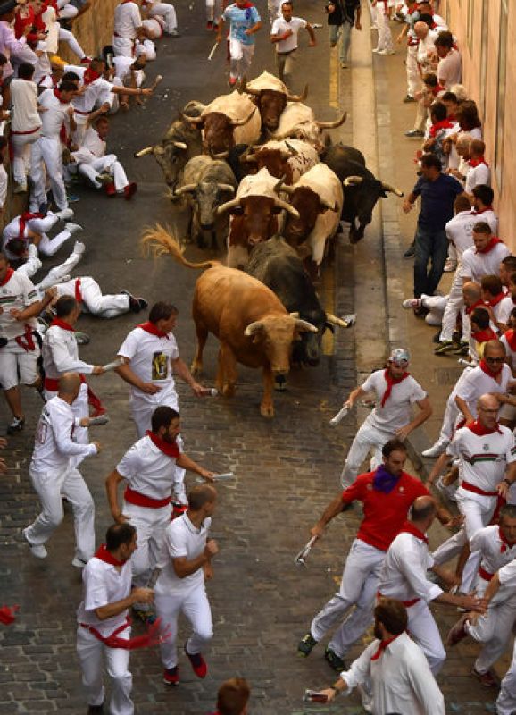 Thrill seekers run in front of fighting bulls at Spains San Fermin festival