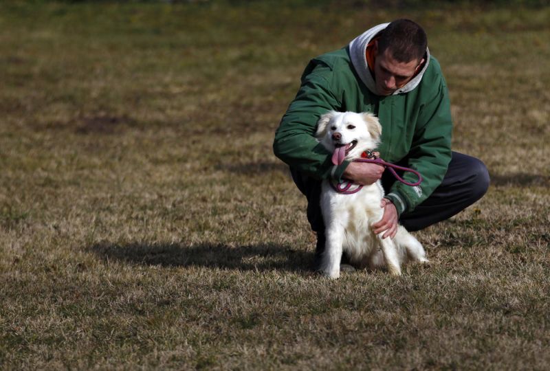 Serbian inmates care for stray mutts while serving time