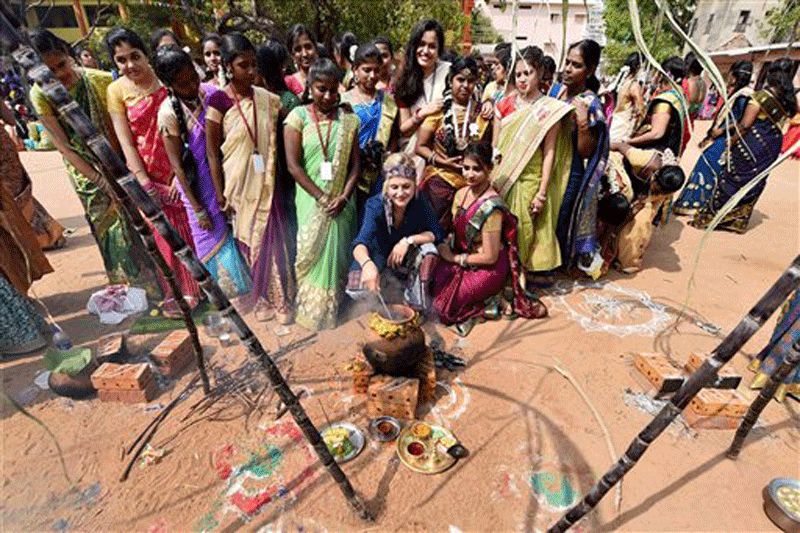 Pongal celebrated with traditional fervour in Tamil Nadu