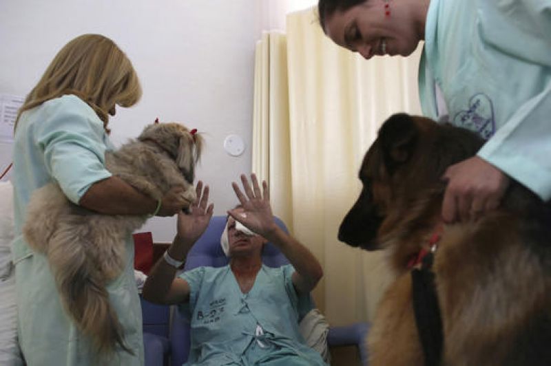 Dogs provide therapy in a Brazilian hospital