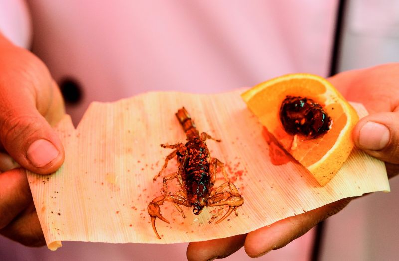 Mexicos food festival offers scorpion canapes and corn tortilla with worms
