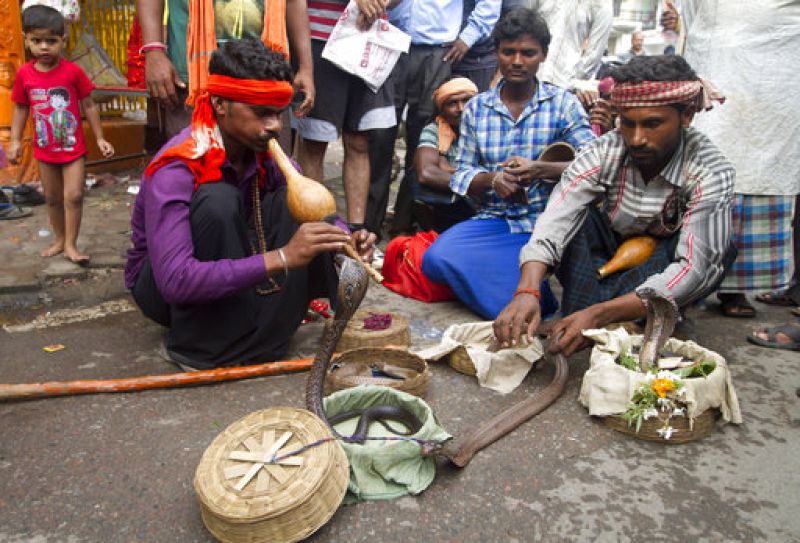 Wrestlers offer prayers; hold bouts to mark Nag Panchami festival in Allahabad