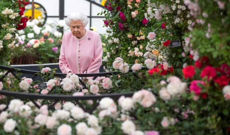 Chelsea Flower Show: Tribute to migrants in five-day culture fest