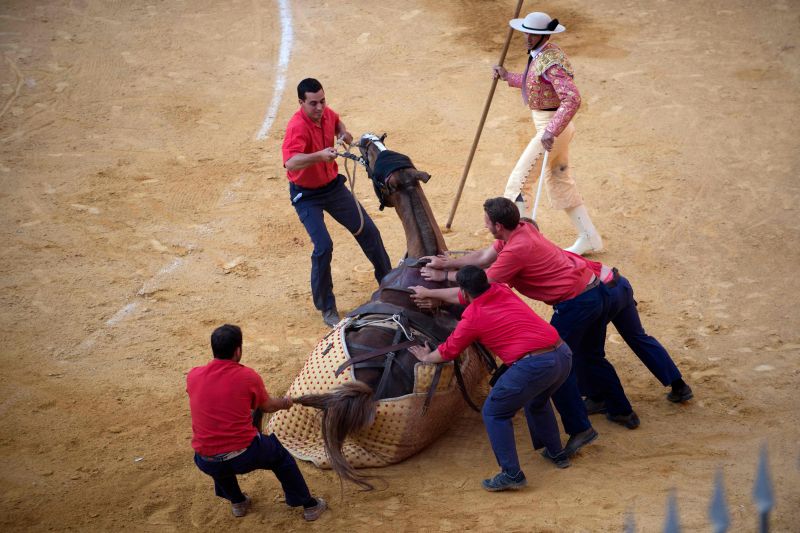 Corpus bullfighting festival 2018: Famous matadors take on bulls in Spains Granada