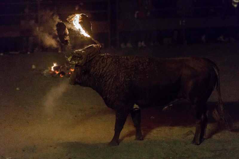 Spain: Medinaceli celebrates fiery ancient tradition Toro de Jubilo