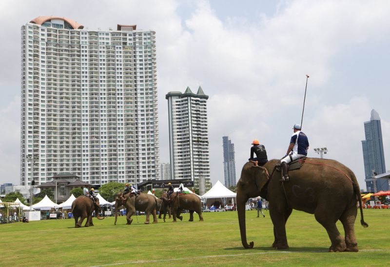 In photos: Elephant polo in Thailand sees heavyweights take to field