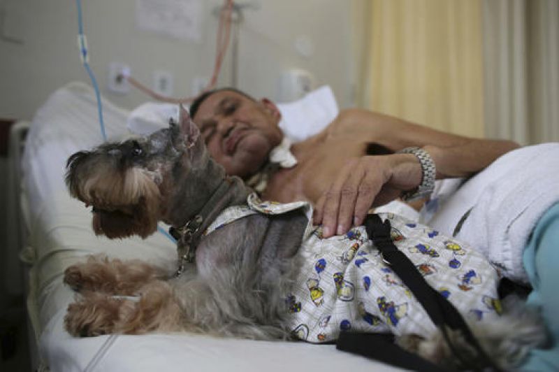 Dogs provide therapy in a Brazilian hospital