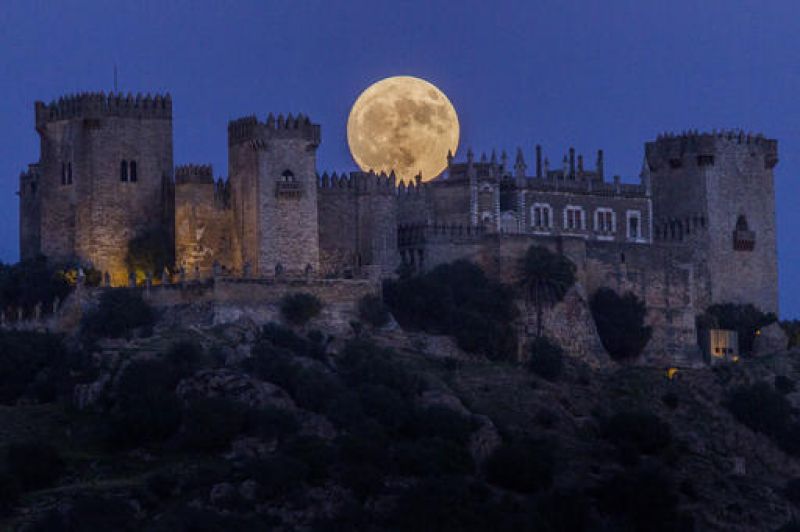 Supermoon makes rare appearance in different places across the world