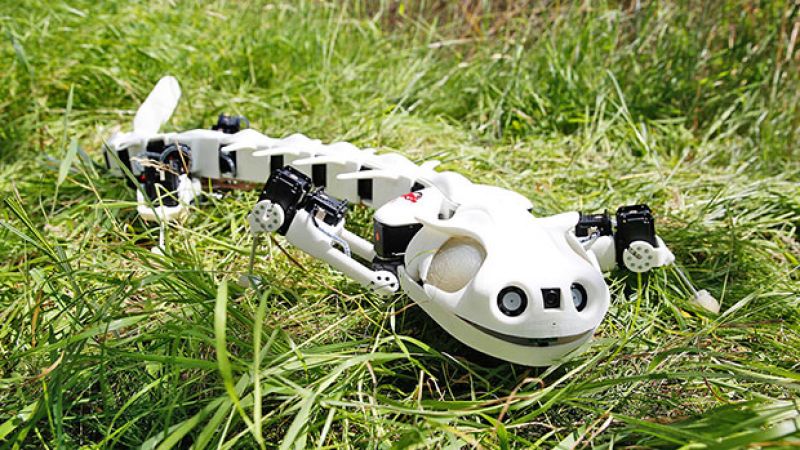Robots that are inspired by nature