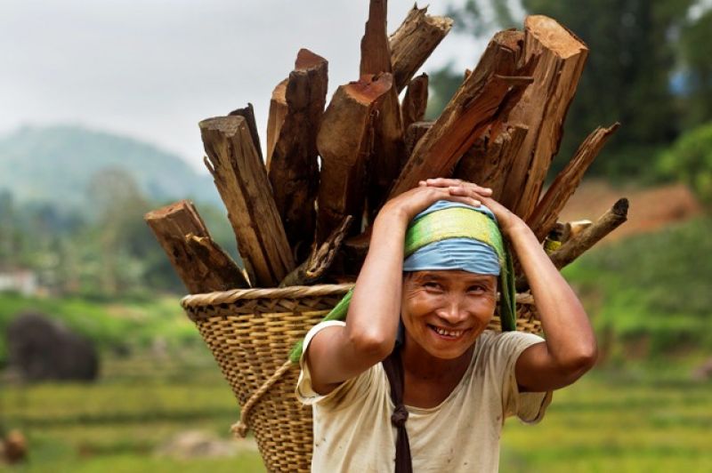 Meghalaya Farmers Receive Carbon Payments for Planting Trees