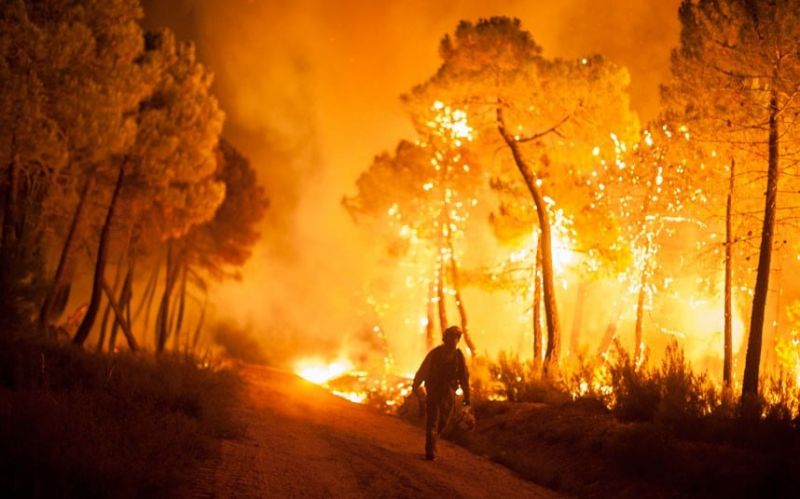 Spain forest fires: Thousands of people evacuated, wildlife threatened