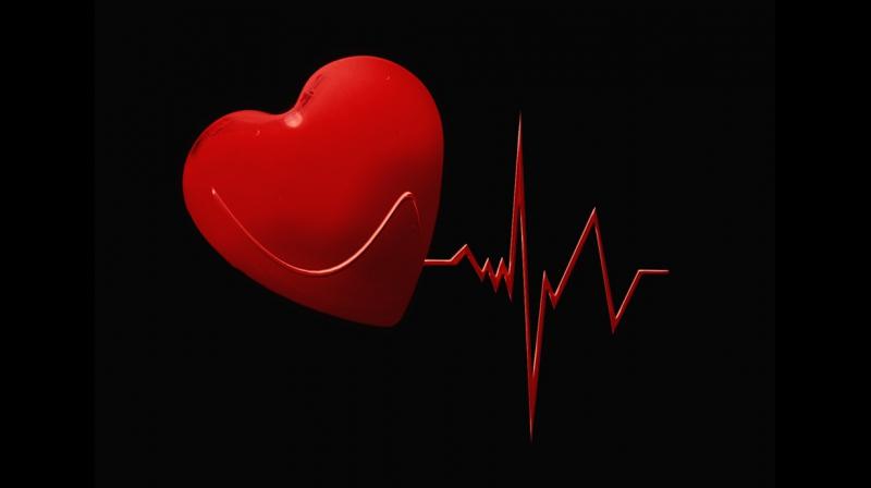 How genetic factors can affect your heart. (Photo: Pixabay)