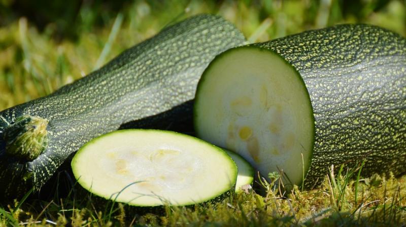 Man calls police after he mistakes zucchini for WWII bomb. (Photo: Pixabay)