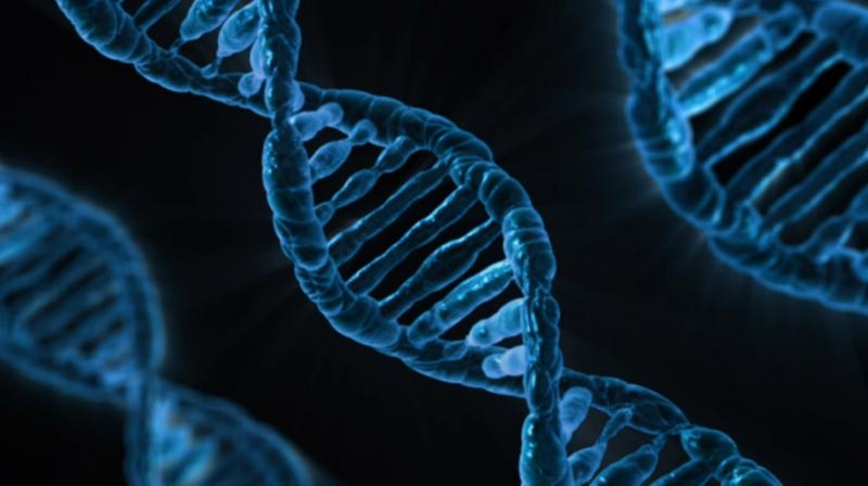 Non-inherited DNA errors could cause dementia. (Photo: Pixabay)