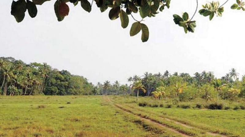 The proposed site for the Electronics and Hardware Park at Amballoor.