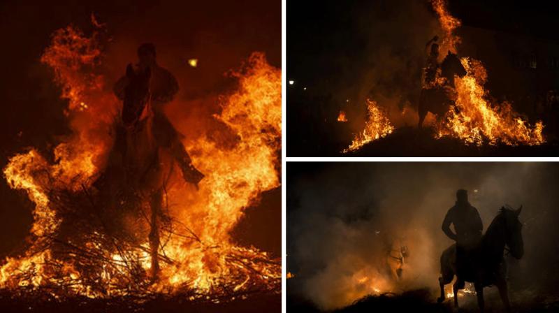 Spanish ritual of horses and fire survives time and critics