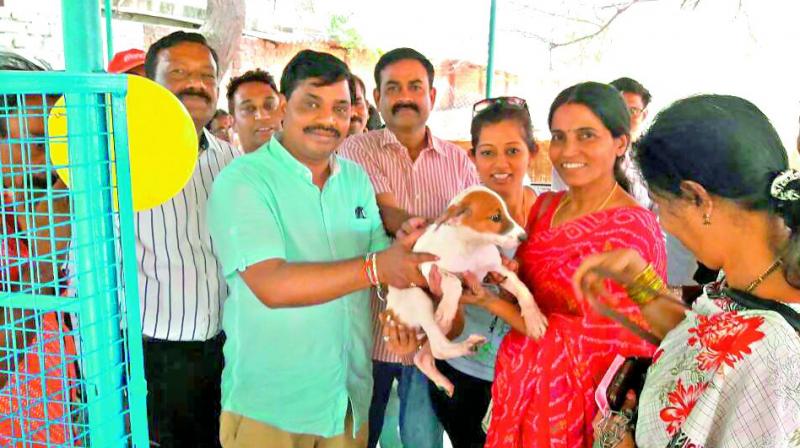 Officials from the GHMC launched the stray dog adoption programme on Sunday.