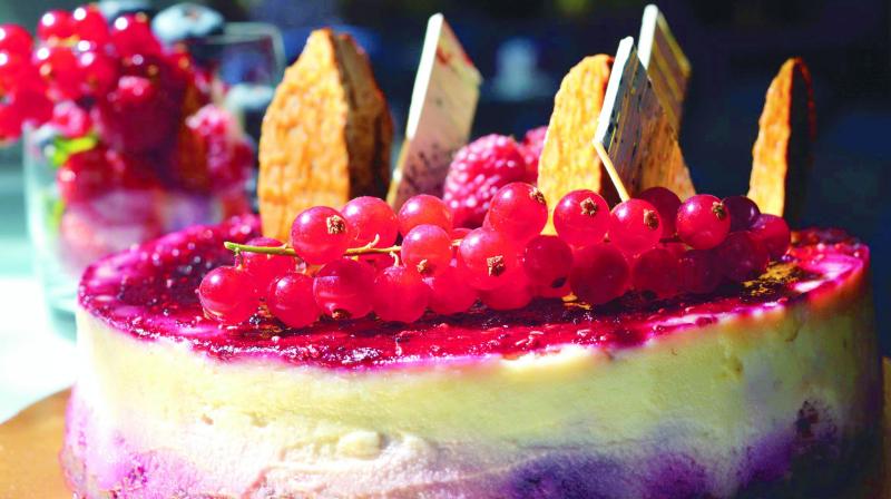 BAKED WILD BERRY CHEESE CAKE.