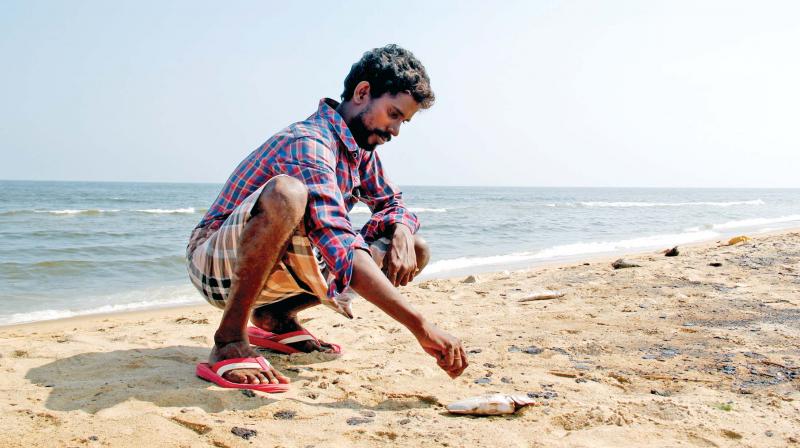 A fisherman looks at dead fish washed ashore after the oil spill near Chennais Kamarajar port in Ennore (Photo: DC)