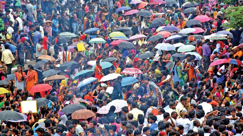 >>>>  Despite rain, people are seen participating in the protest demanding permanent  solution for jallikattu at Tamukkam in Madurai, on Saturday (Photo: K. Manikandan)