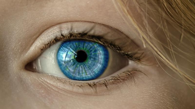 Scientists develop gene therapy that could restore partial vision. (Photo: Pixabay)