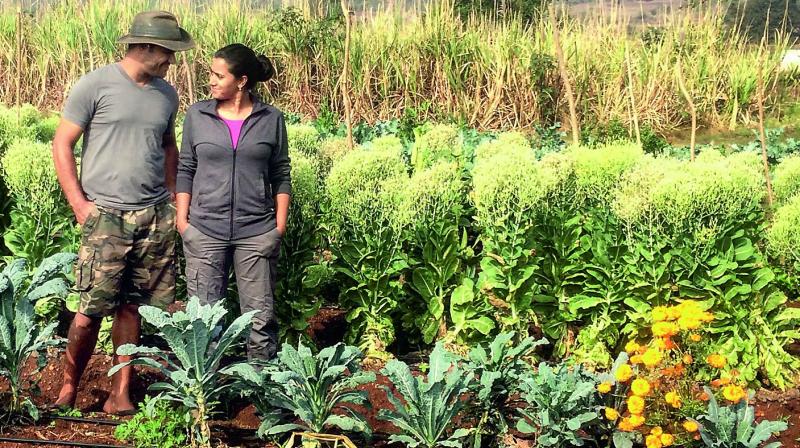 new age farmers: City-based couple, Kabir and Anjali in their farm on the  outskirts of Hyderabad