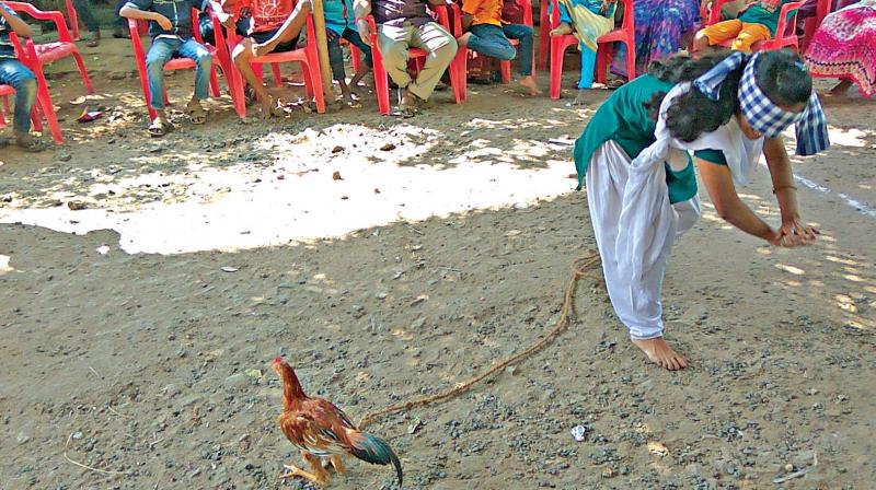 A woman tries to catch a hen.