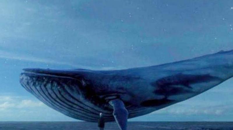 According to a UNICEF report titled Blue Whale Challenge: What parents need to know, in a span of two weeks more than six children across India, in the age group of 12-19 years, have taken their lives after allegedly playing this game.