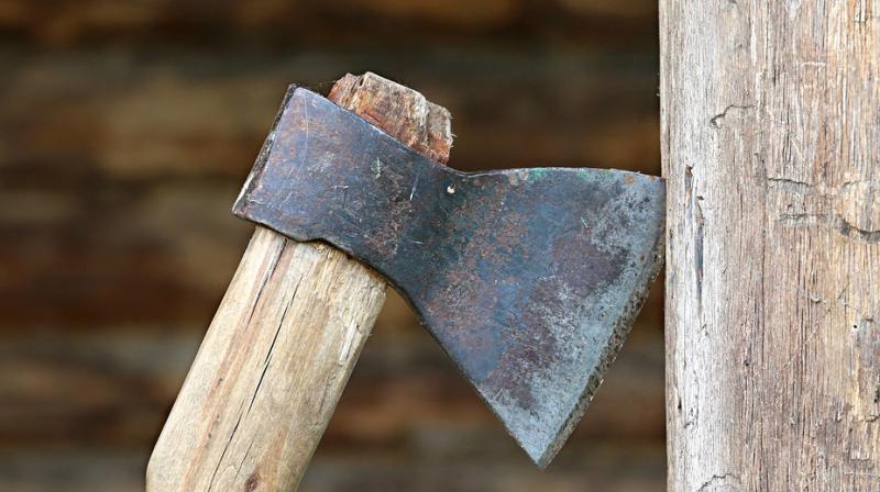 The man killed his daughter with an axe. (Representational Image)