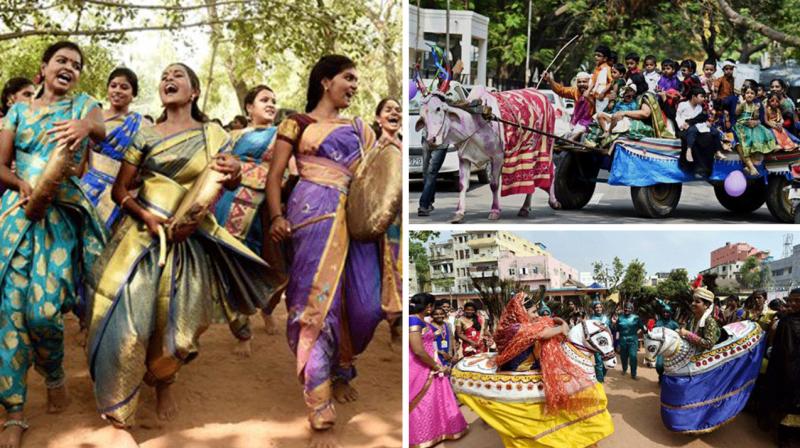 Pongal celebrated with traditional fervour in Tamil Nadu
