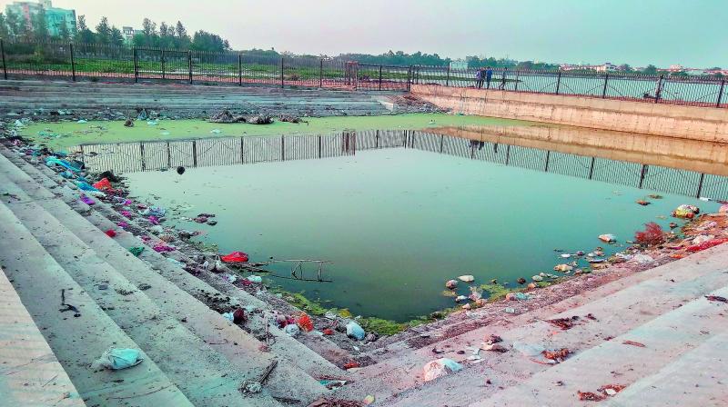 Uncleared baby ponds have become breeding grounds for mosquitoes.