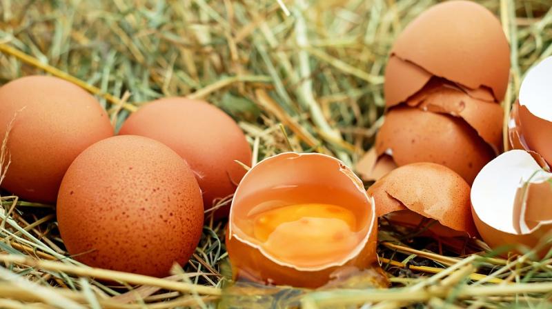 Eggs dont raise risk of heart disease. (Photo: Pexels)