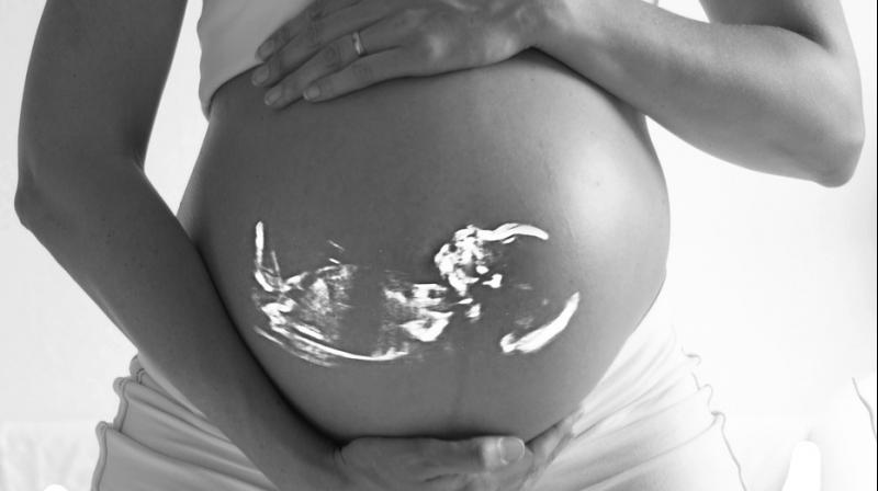 Pregnant females treated with active vitamin D in the equivalent of the first trimester of pregnancy produced offspring with autistic deficits. (Photo: Pixabay)