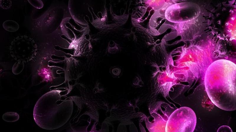 HIV excels at evading the immune system by hiding out in certain immune cells. (Photo: Pixabay)