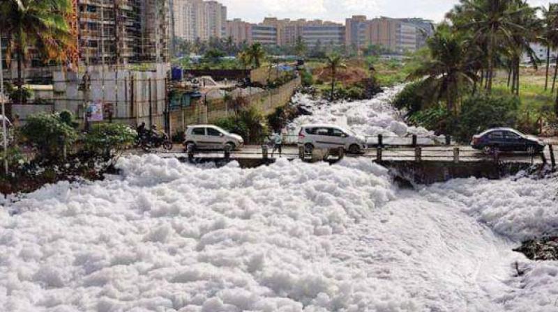 Bellandur Lake