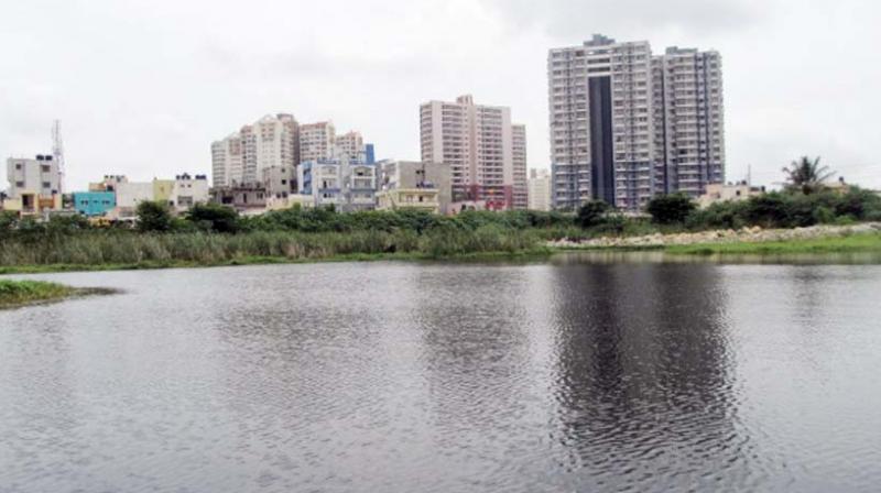 Much before Bengaluru was called a Garden City, it was called the City of Lakes thanks to its 1200 lakes, 40 to 50 per cent of which were man-made.