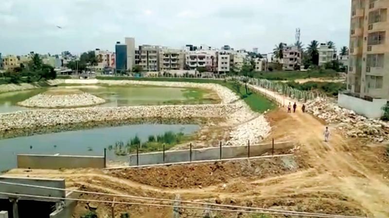 The building thats come up within the buffer zone of Yelachenahalli Lake. Though the construction took over three years, BBMP officials failed to take action (Image DC)
