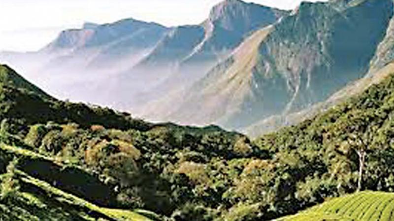 The Western Ghats cover almost 1,60,000 km2 (62,000 sq. miles) and form the catchment area for the complex riverine drainage systems that drain almost 40% of India.