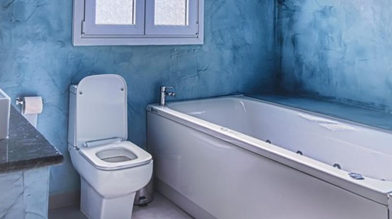 The suspect \did his business and didnt flush it\ during the October break-in in the city of Thousand Oaks, said Detective Tim Lohman of the Ventura County Sheriffs Office. (Photo: Pixabay/Representational)