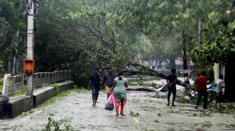 At least 24 people lost theirs lives due to cyclone Vardah. (Photo: PTI)