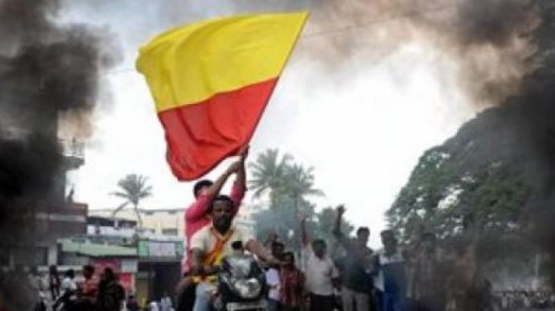 Karnataka has a red and yellow flag that is used for cultural events (Representational Image)