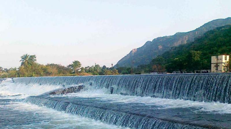 The perennial river Thamirabarani has been serving drinking water purposes and agricultural needs of farmers in Tirunelveli, Thoothukudi and neighbouring Virudhunagar and Ramanathapuram districts.