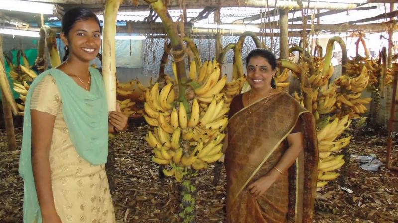 Erumapetty Banana Growers Association members which won the Plant Genome Saviour Community award for the sustained efforts in conservation and promotion of Chengalikodan with their produce (file pic).