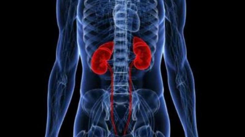 Experts from Sri Lanka, London School of Tropical Medical and Hygiene, Nizam Institute of Medical Science, Hyderabad and National Institute of Epidemiology, ICMR, Chennai, have come together to pinpoint the reason behind Chronic Kidney Disease of unknown origin affecting a large number of people from Uddanam region of Srikakulam district.